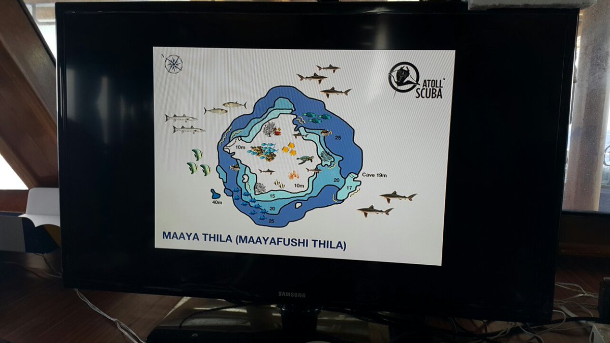 Dhiraagu's tweet photo. #GearingUp for the launch of #Dive48 #OfficialTelecomPartner #Dhiraagu https://t.co/W5zUnO8QLi