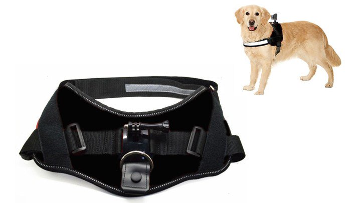 tecnologyc's tweet image. El arnés de #Activeon permite que el #perro tome fotos o grave desde diferentes… tecnologyc.com/activeon-hace-…