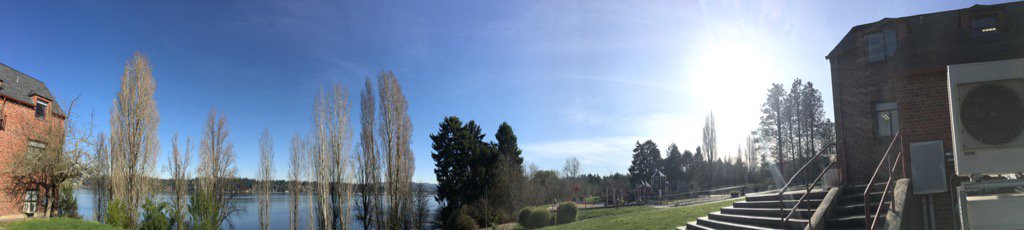JocelynBacunga2's tweet photo. Luther Burbank Park, Mercer Island, WA https://t.co/fTel6xAMSN