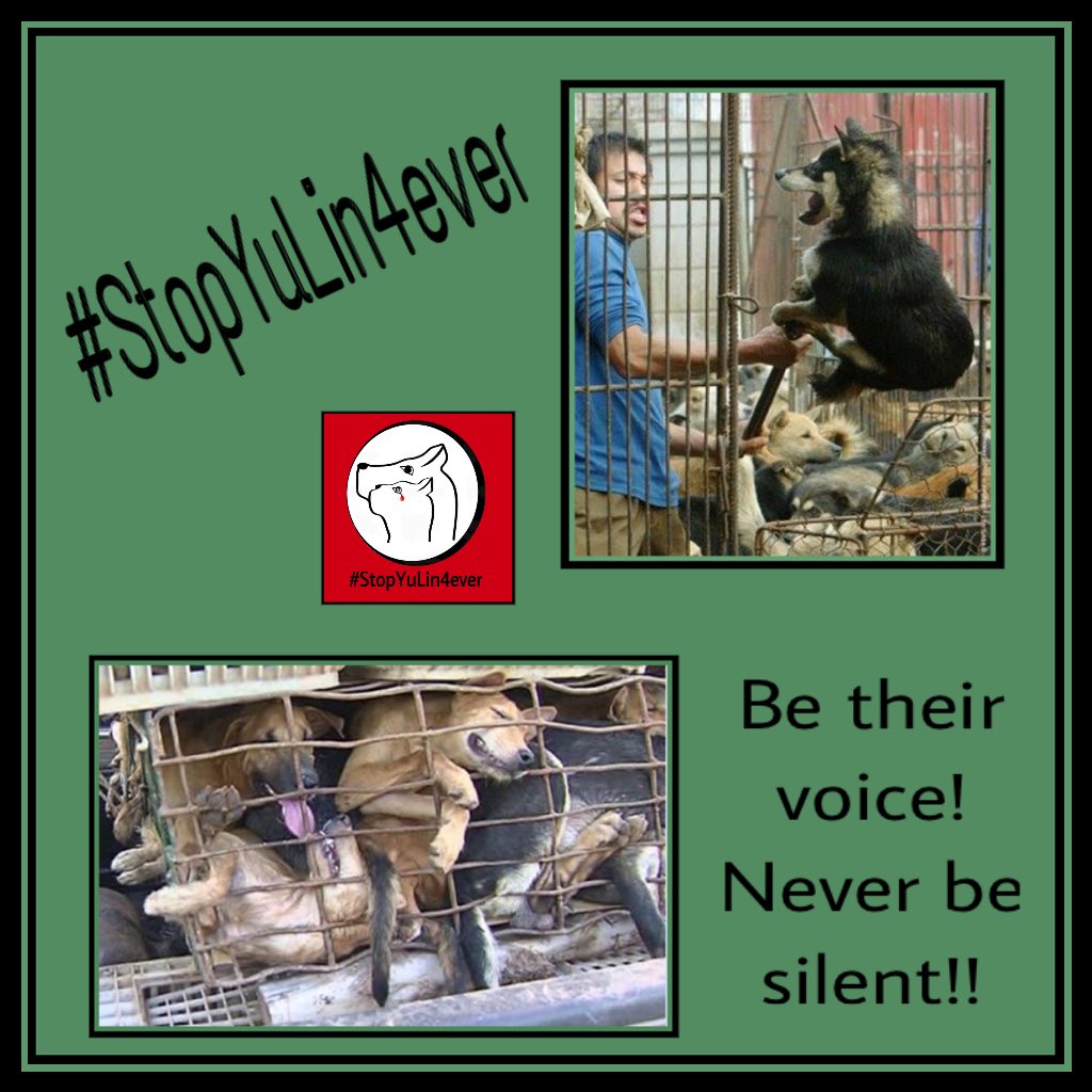 moodysally1's tweet photo. Suffering continues as governments turn away from theft, bullying, murder &amp; food risks! #StopYuLin4ever https://t.co/GHjZ69xZnH