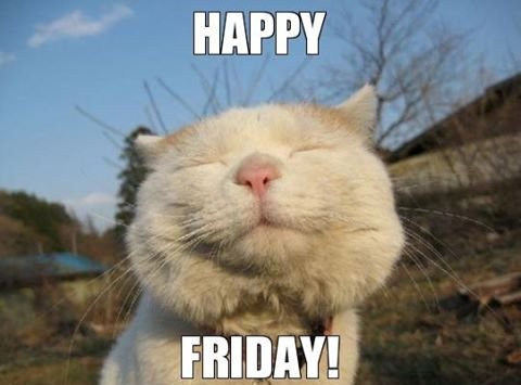 Happy Friday! Bring on a wonderful weekend!