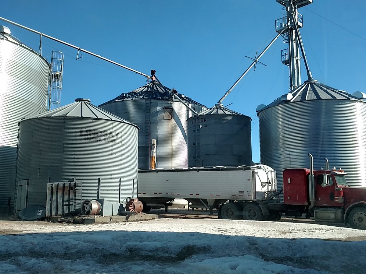 PaynesPrairieMN's tweet photo. More #corn being moved today.   Won't fill the contracts, but close.  #mnag #crop15 https://t.co/OPOX2AVkgY