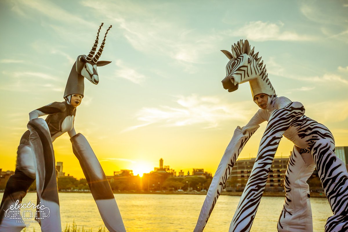 ElectricZooNY's tweet photo. Ready for Saturday night shenanigans like... https://t.co/hoqG8Xu1di