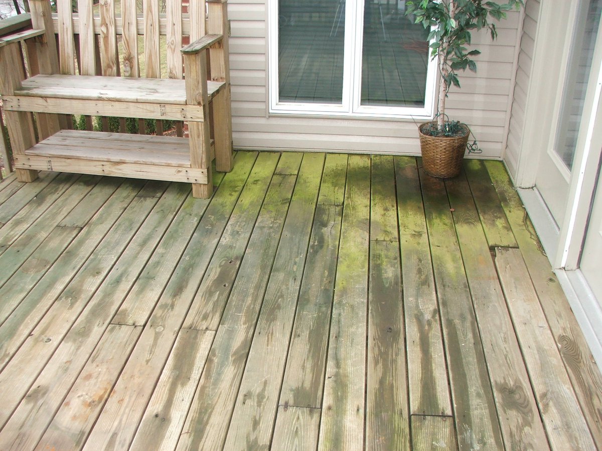 MITMCorporation's tweet photo. Gross Deck. Ew. #NeedAPressureWasher https://t.co/gMaLkwL0oQ