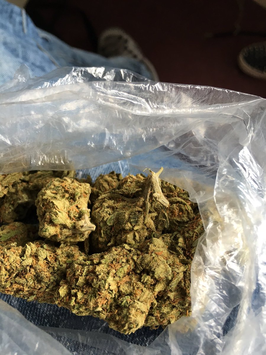 __DULA's tweet photo. Been smoking out the bag ⛽️ https://t.co/HUVDTlJTt3