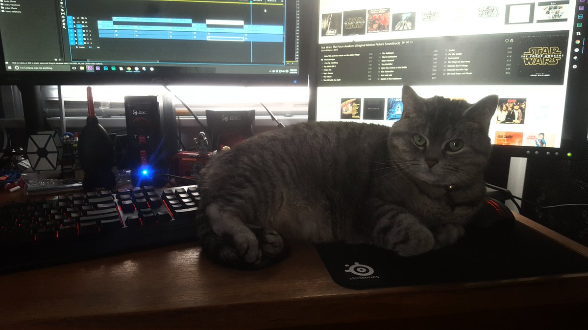 El_Punisher's tweet photo. @AttentionEra Meet Tifa. She likes to be pet while I'm editing... #ISitHere https://t.co/w4CnEfMUbg
