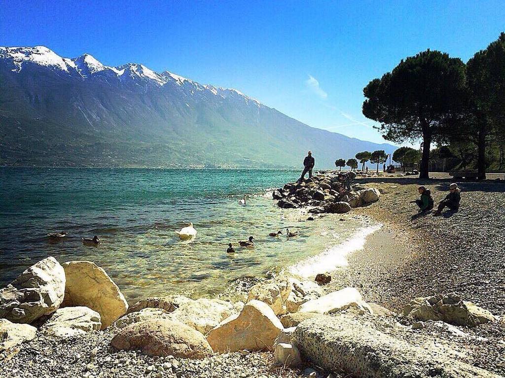 #Repost heike_michaela
・・・
and now please ☕️ directly on the lake... perfect ☺️👌 #Gardasee #LagodiGarda #gardalomb…