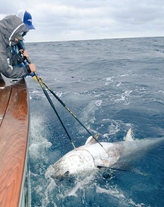 ocean_stinger's tweet image. 93" 650 lbs Bluefin Tuna caught of Wrightsville Beach. 2/23. Caught while troll 10 miles of coast.