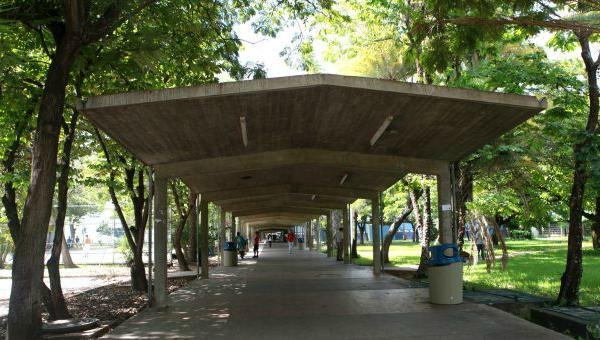 NTN24ve's tweet photo. Universidades venezolanas pueden paralizarse después de marzo por falta de presupuesto https://t.co/Fl9hmHNCsO https://t.co/zwBqIgsoBZ