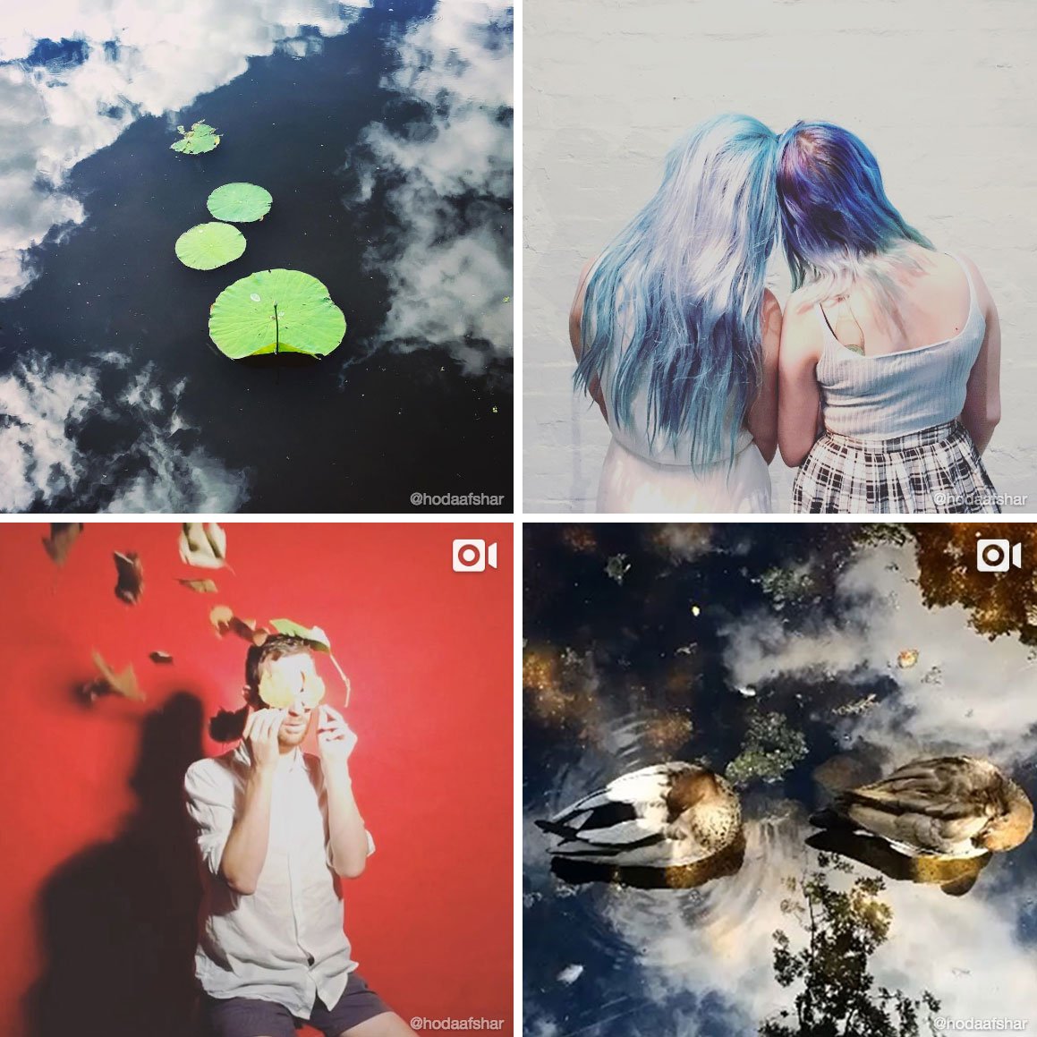 instagram's tweet photo. Seeing the world in slow motion with Hoda Afshar’s moving images https://t.co/h0YDzBtJBV https://t.co/ddCDaLoWae