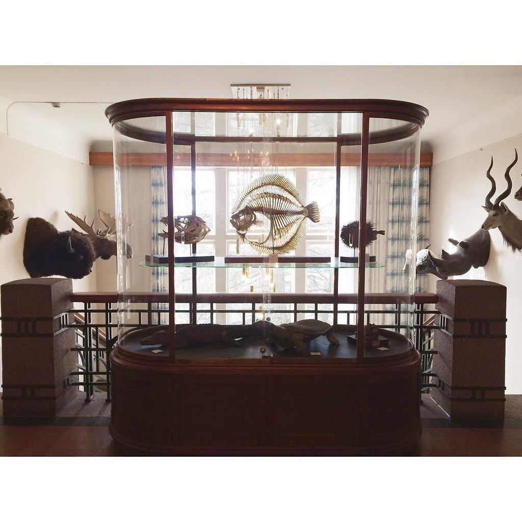 #nhm_oslo ift.tt/1TbUVT6