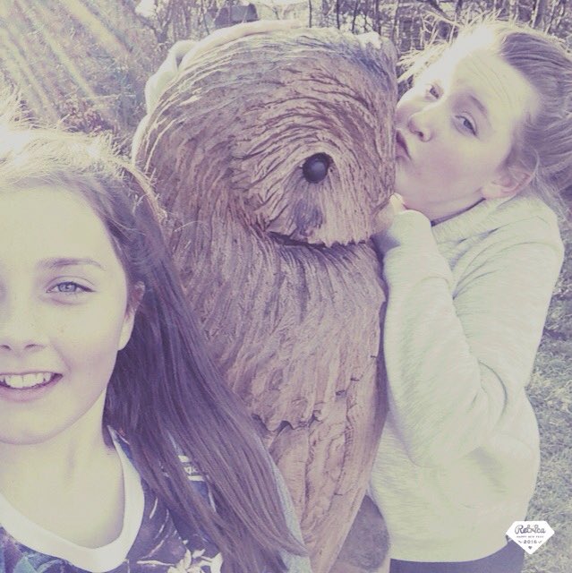 AliciaJoyce7's tweet photo. #Just let me take a selfie# https://t.co/ee0Ebr4zTD