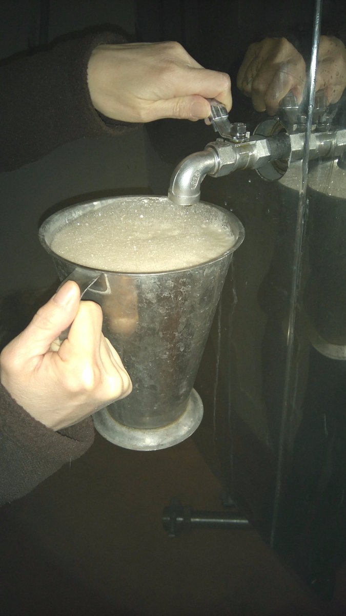 TriplefffBrewer's tweet photo. Taking a sample to test the gravity of the #AltonsPride we brewed on Wednesday. #craftbeer #abrewerslife https://t.co/sO5PsjUyIg