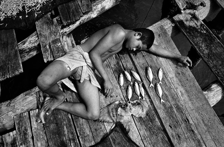 noorimages's tweet photo. ยฉ @FrancescoZizola / #noorimages. #Child dries fishes on a #jermal in the #MalakkaStraits. #Indonesia, 2001. https://t.co/pmhx5tKKcj
