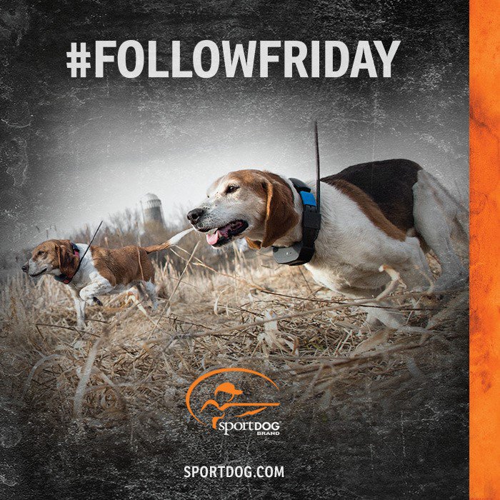 SportDOG Brand tweet media