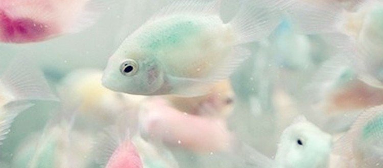 Release your worries and heal with this guided #meditation for #Pisces season w/ <a href="/Terri_Cole/">Terri Cole</a> astrostyle.com/terri-cole-pis…