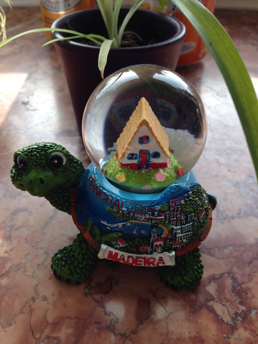 147Kathi's tweet photo. loooook at this π I got the cutest Madeira snowglobe from @heidi2311 awwww ππ’ #thecollectionisgrowing https://t.co/8pnt1jr3WK