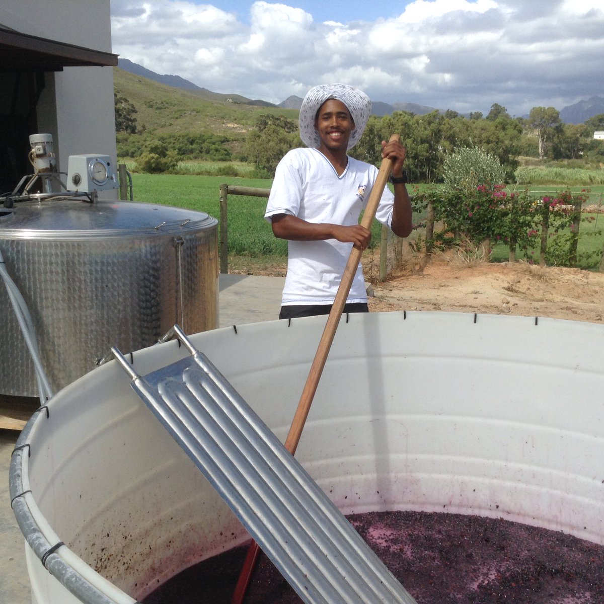 WaresideWines's tweet photo. Norman and the Merlot 3. Punching through and his babies are fermenting - still happy!!! https://t.co/KXOgHkhtrV
