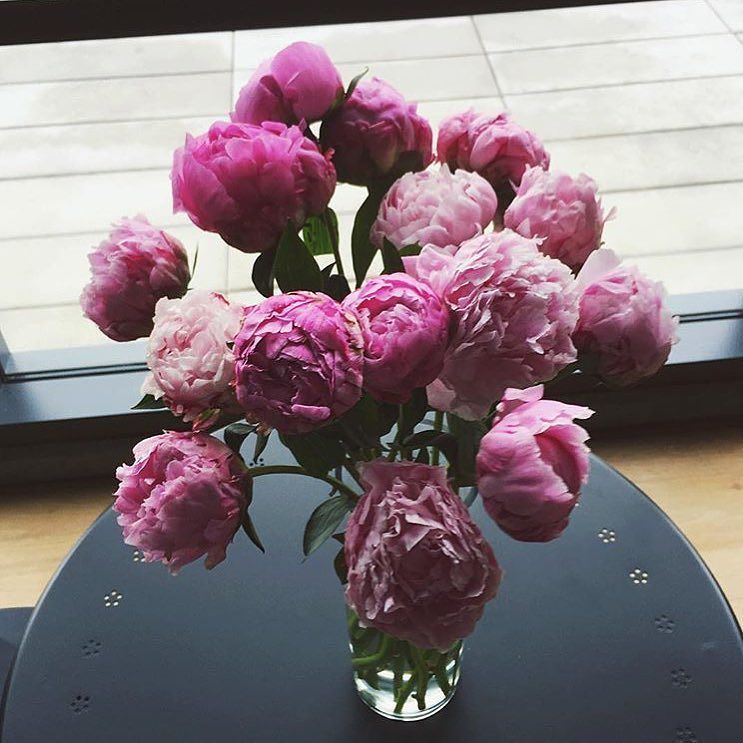 saraechong's tweet photo. RT https://t.co/gU01Qkl1ZJ Via negin_mirsalehi #flowers #flowerdesign #flowerarrangement #fashion #style #fashion… https://t.co/qwDGtjQFqJ