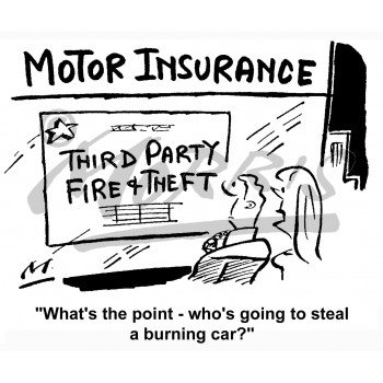 AAdvantage Insurance tweet media