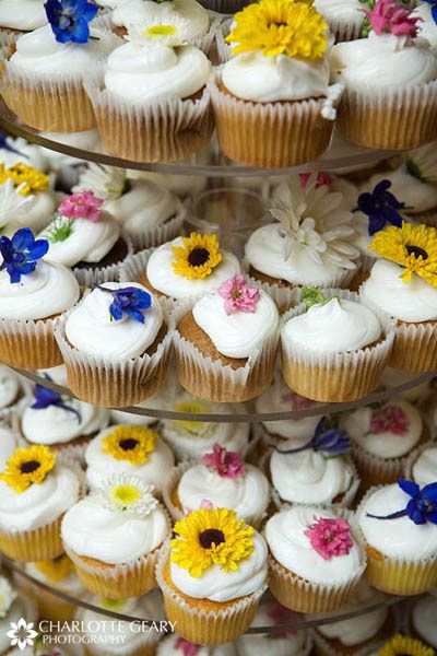doveascupcake's tweet photo. https://t.co/MK0uTFCE2F