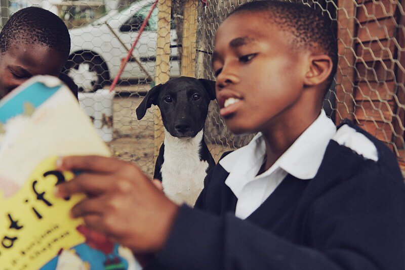 HoutBayGoodNews's tweet photo. New Book Buddies https://t.co/MMSLLaXWq5 https://t.co/fJNHhg4kra
