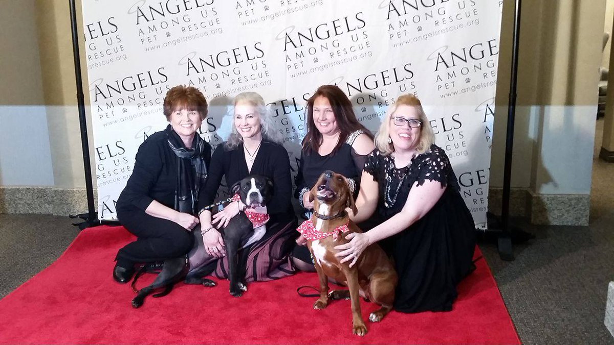 angelsrescue's tweet photo. @gypsyjacs @oldogsrescue #HuggingDogs posing w/ a few #Angels at our #LovePaws event on 2/13, #adopted together https://t.co/95fXQgNavN