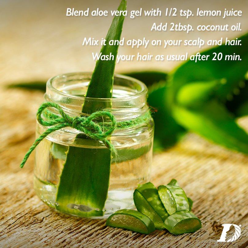 darling_kenya's tweet photo. Did you know that Aloe Vera can prevent hair from falling? If you notice excess breakage, try it. #DarlingHairTips https://t.co/PhO4LnCoUF