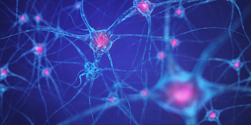 Novartis tweet media