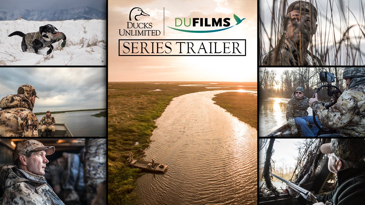 DucksUnlimited's tweet photo. DU Films returns! Watch the 2016 trailer as well films from last season, at  https://t.co/o7XUov1g82 #DUFilms16 https://t.co/DgWNTnGrAd