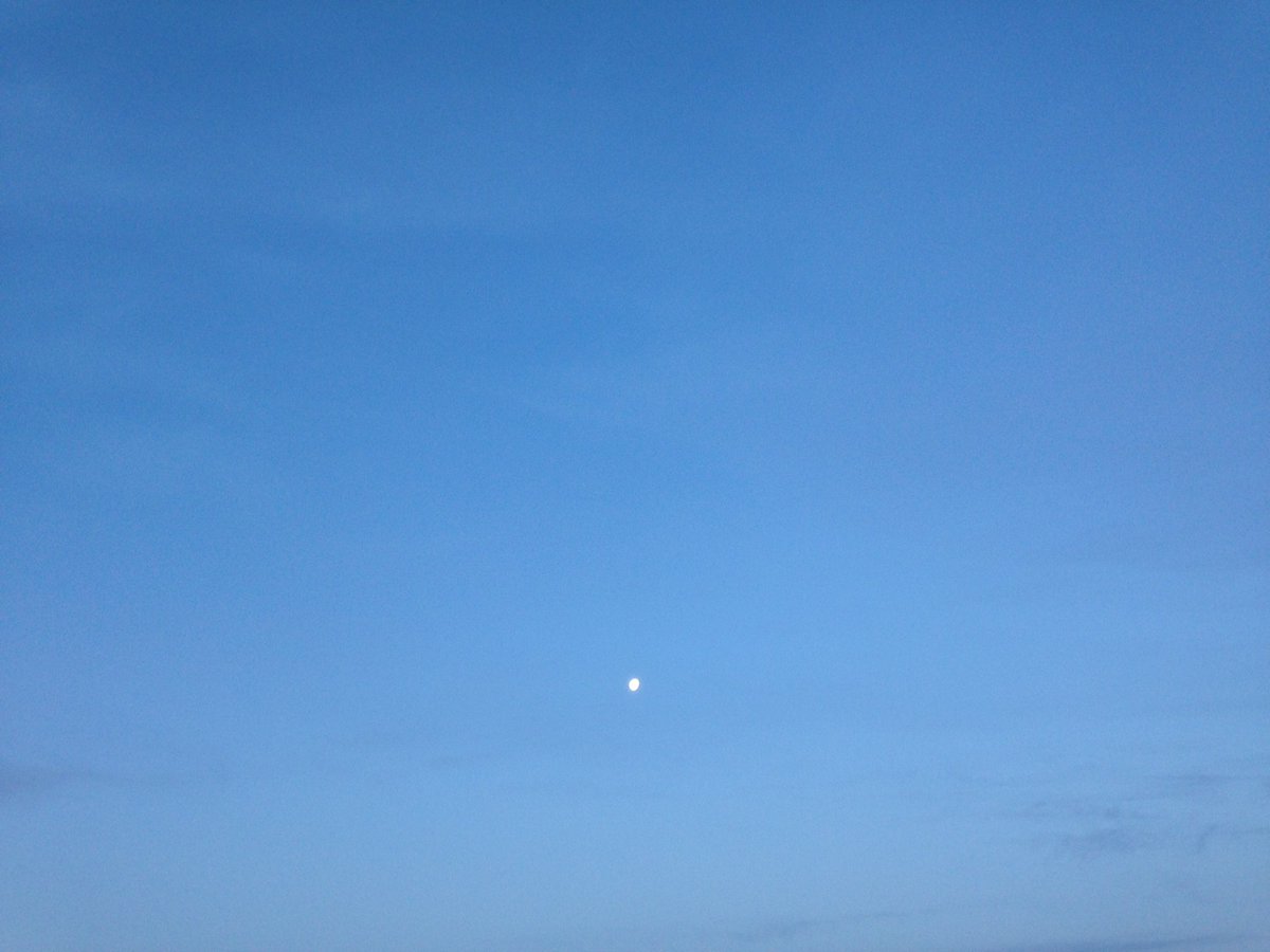 JasonDsings's tweet image. What are you still doing up at this hour?