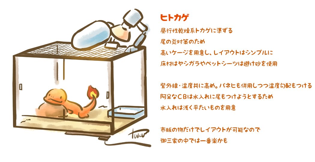 妄想ポケモン飼育 Togetter 妄想ポケモン飼育 Togetter