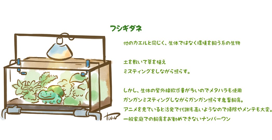 妄想ポケモン飼育 Togetter 妄想ポケモン飼育 Togetter