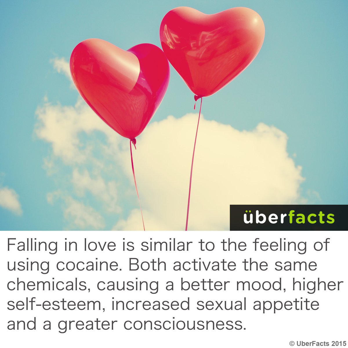 UberFacts's tweet photo. Oh. https://t.co/FZtB8BvOmy