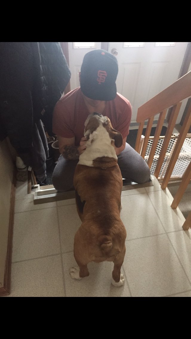 aikenchop14's tweet photo. You were the strangest but best dog anyone could have. Bye Tink 😢 https://t.co/45eLhhFWQ2