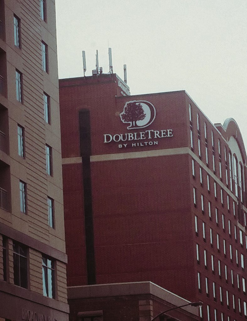 Mitch Hedberg On Twitter: "I Can't Tell You What Hotel I'm Staying At, But  I Can Say That There Are Two Trees Involved🌳🌳 Https://T.co/0Hzoug5B3T" /  Twitter