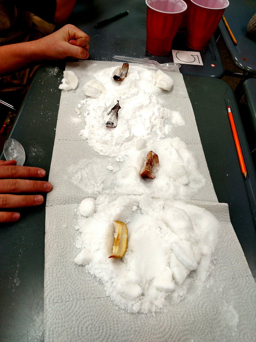 MrsDownNMS's tweet photo. Digging out our apple mummies! #7Procks #7purpleSS @MrsHolickerNMS https://t.co/IU21HTIgE6