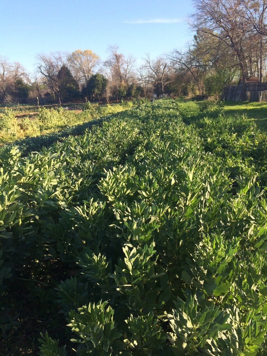Another beautiful winter morning <a href="/BoggyCreekFarm/">Boggy Creek Farm</a>