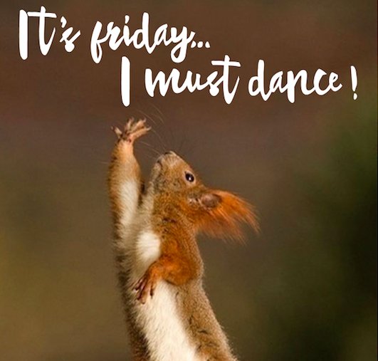 Wefifo's tweet image. We've got that #Fridayfeeling