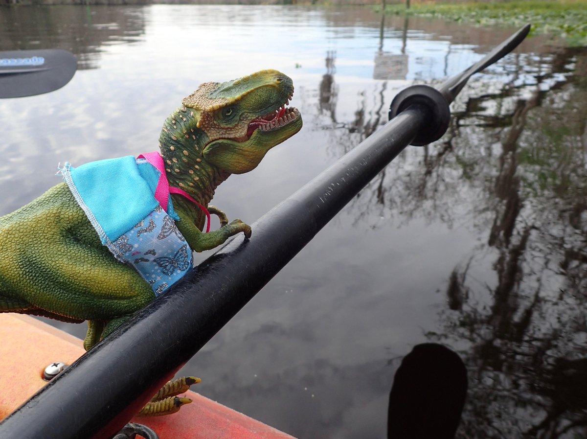 Kayaking Blue Spring: T.Roxy is working hard but having a hard time with that paddle! <a href="/FLStateParks/">Florida State Parks</a>