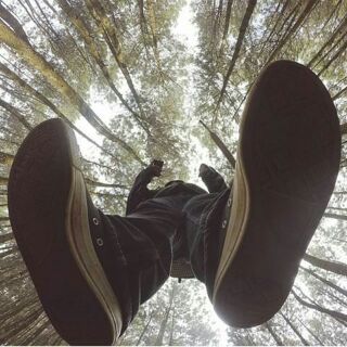 Dian lestari tweet media