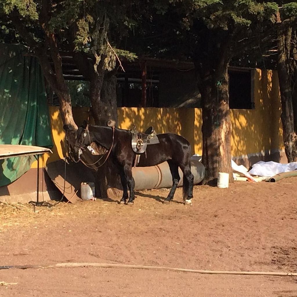 BarryWaldo's tweet photo. Not every day u have a business meeting here #adventure #production #mexicocity #offthebea… https://t.co/qXucYQgJNj https://t.co/DpGRC5oVrM