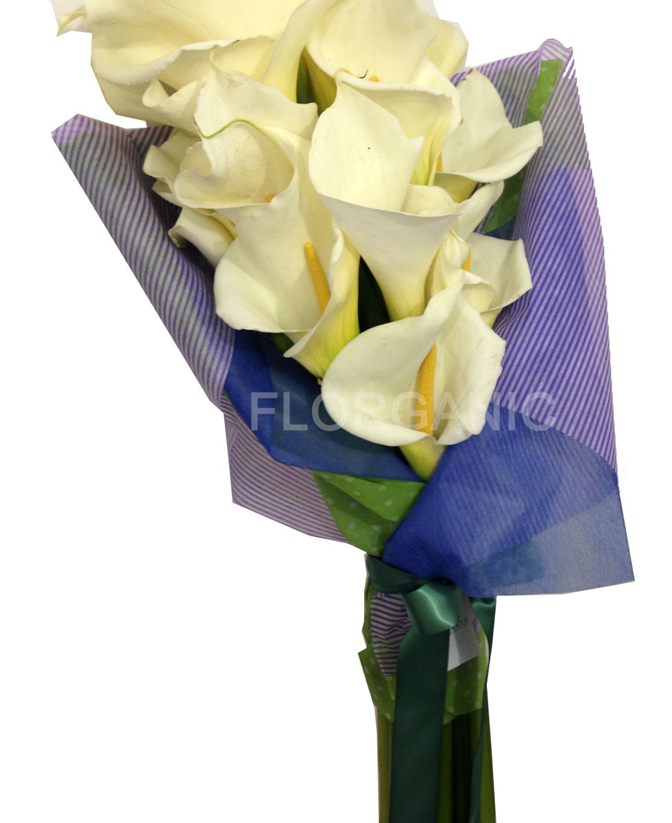 BhatviaRaven's tweet photo. RT https://t.co/QcRSmC2ZoR #WorkFromHomeTODAY and send flowers in Mexico City #florganic #flowershop #delivery https://t.co/7yqsxn3zvq