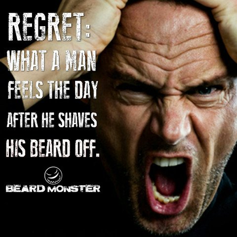 MyManBeard's tweet photo. Just don't do it #beards #beardporn #beardlife #beardo #beardheaven #beard #ilovemybeard #mymanbeard https://t.co/Ggjfwyafpv