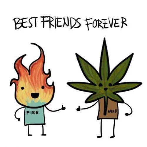 _Truffle_Report's tweet photo. Best friends forever 🔥🍁 https://t.co/c5Y43OawKo