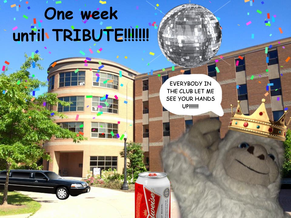 harperhall2016's tweet photo. 1 week until everyone's favourite night of the year: https://t.co/ULtuMIPhOs