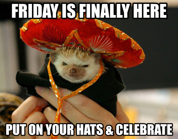 ThermoRite's tweet photo. https://t.co/zGdirwWbTV
Enjoy your fireplace warmth while you can. Spring is coming!!!
#Friday #Celebrate  #hearth https://t.co/lFhnsp9ct1