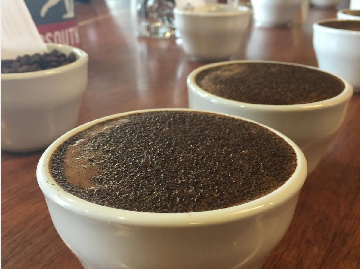 Extract_Coffee's tweet photo. Check out @FrothyMonkey Roasting Co. today at 2pm for their free coffee cuppings. Open to the public! Weekly. https://t.co/Vswnxkuona