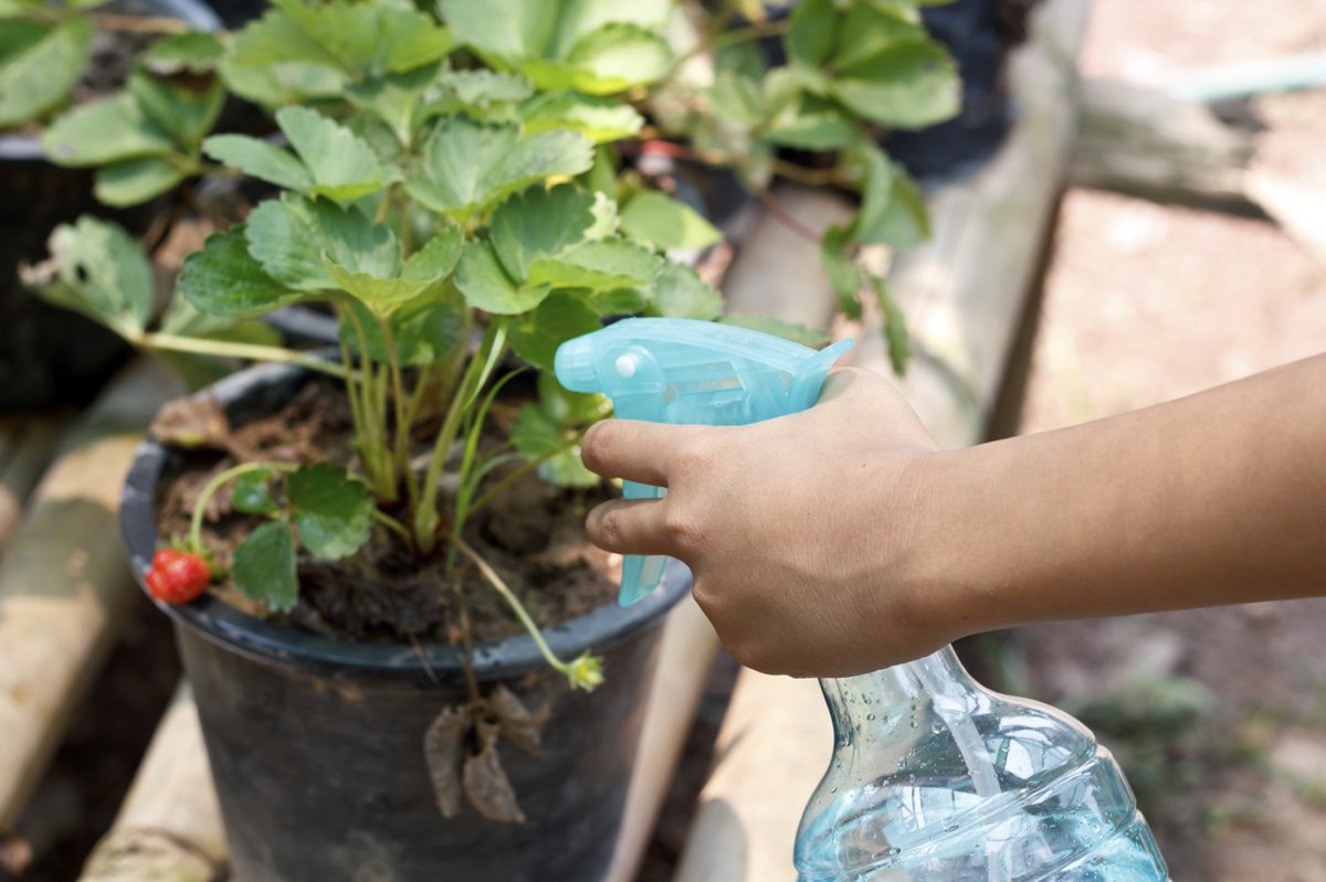 RT x.com/AGCofCA/status… Water Conservation In The Yard And Garden buff.ly/1RtTmMC #waterwise #drought…