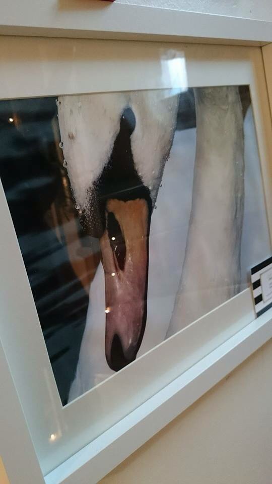 Mother's Day gifts galore in here ! Come see x